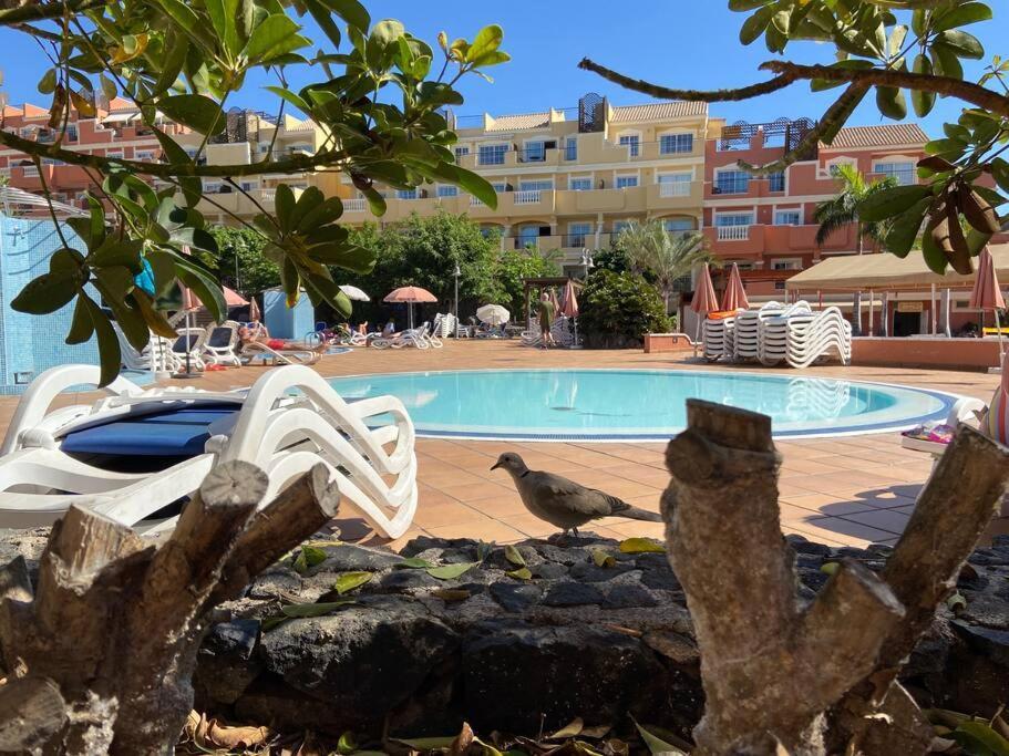 Amazing Penthouse Apartment Los Cristianos  Exterior photo